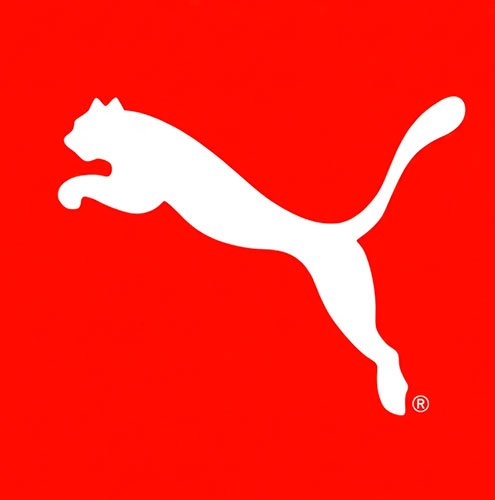 Puma 10k
